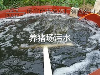 養豬場污水處理